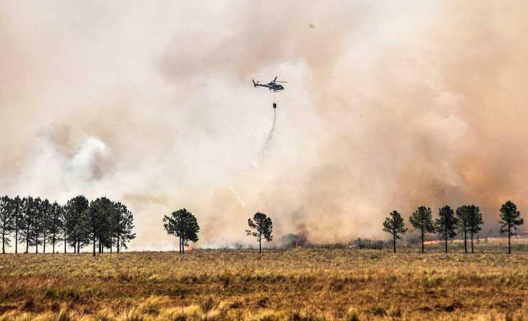 Estiman en maacutes de 26000 M las peacuterdidas que generaron los incendios en Corrientes
