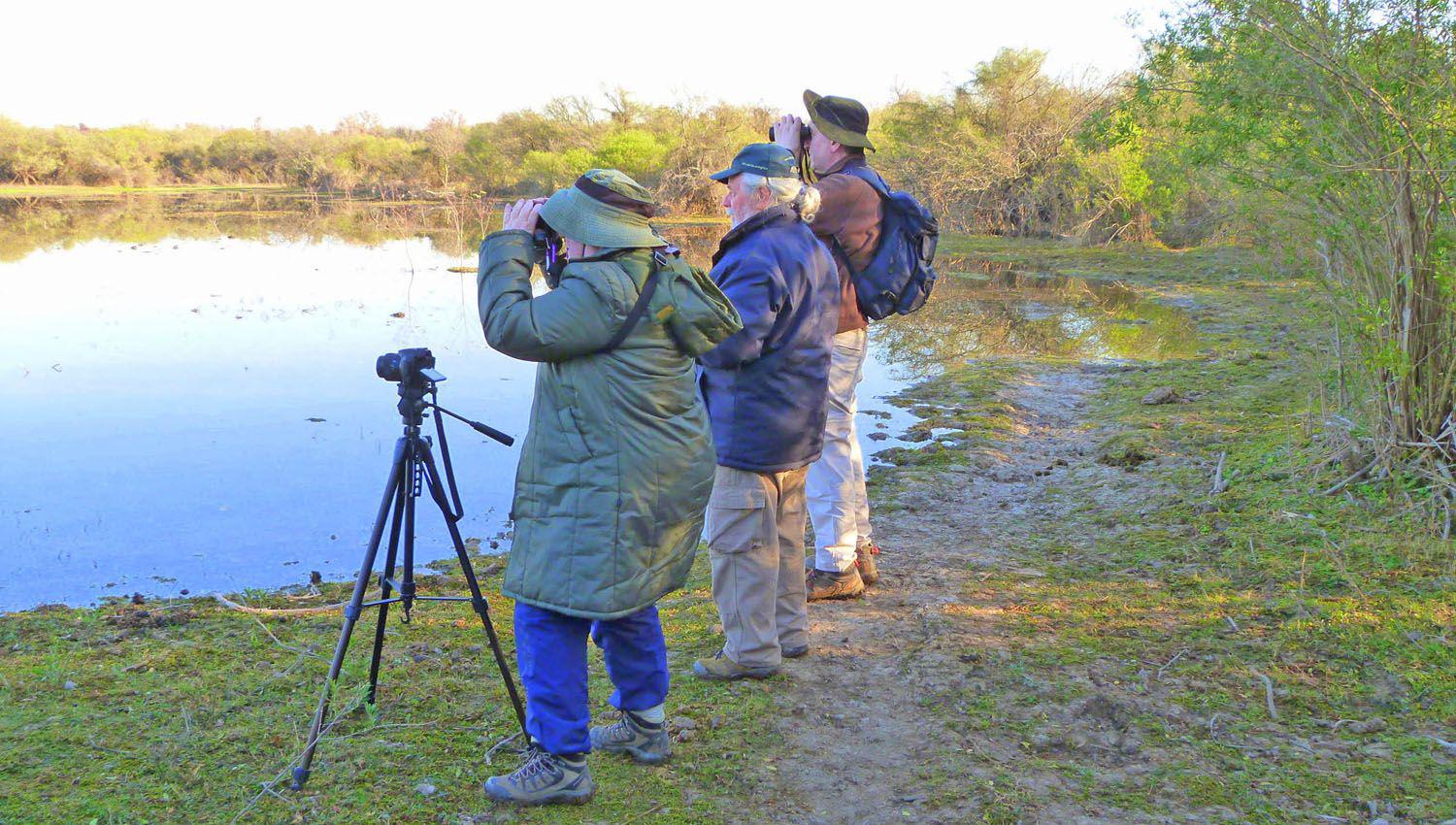 La laguna Los Quiroga es uno de los sitios maacutes importantes para el turismo ornitoloacutegico nacional