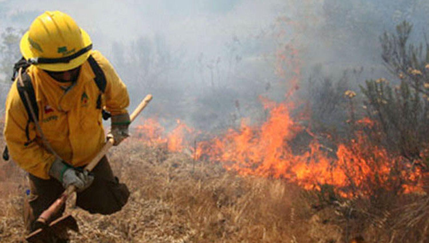 Temporada de incendios- ldquohay que evitar arrojar basura y quemar en cualquier ladordquo