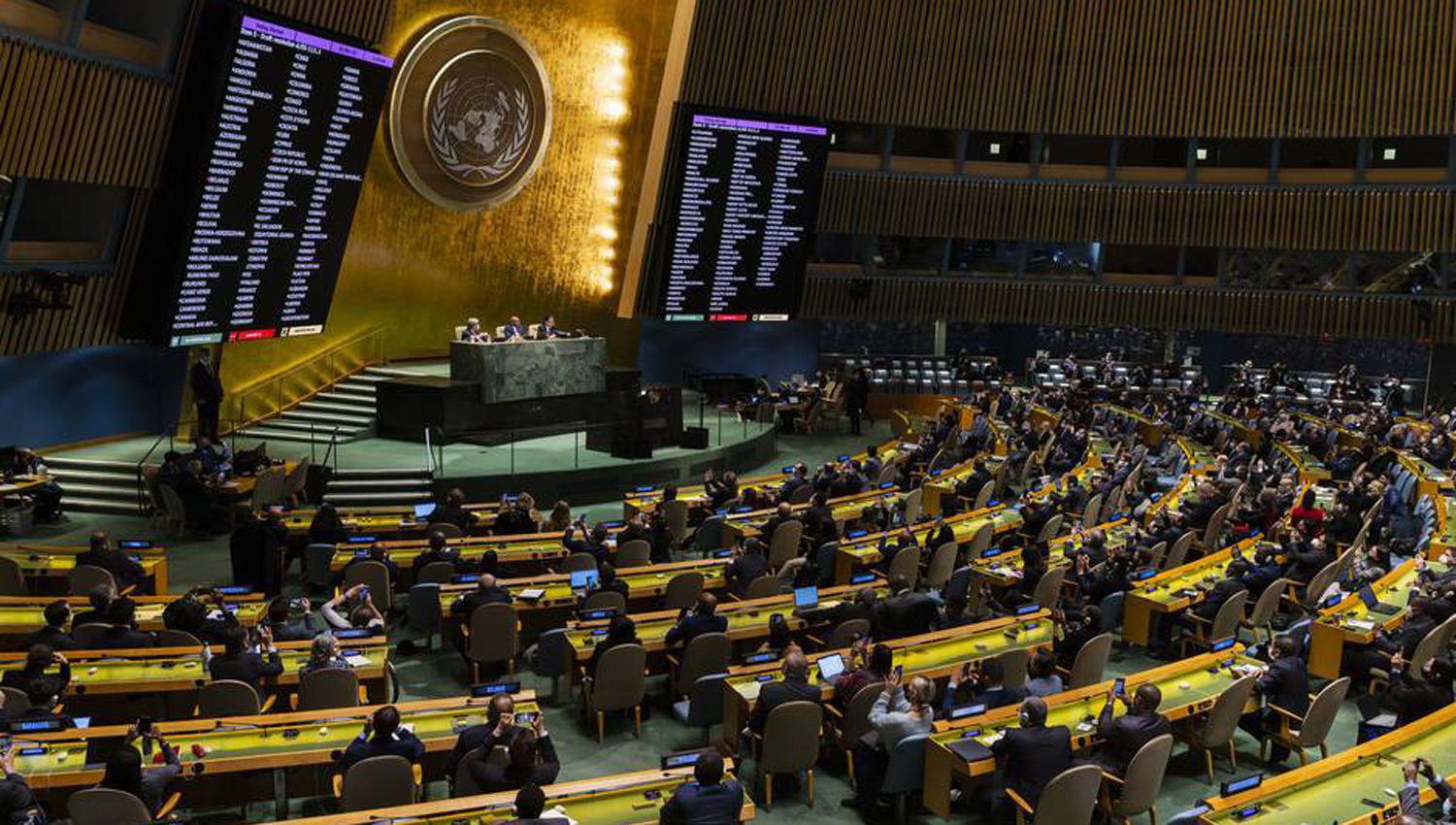 ONU- la Argentina votoacute a favor de suspender a Rusia del Consejo de Derechos Humanos