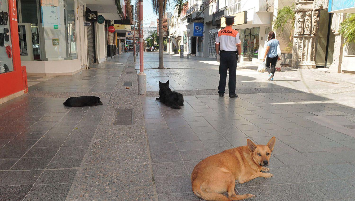Feriado por la Autonomiacutea Provincial- la actividad comercial seraacute nula