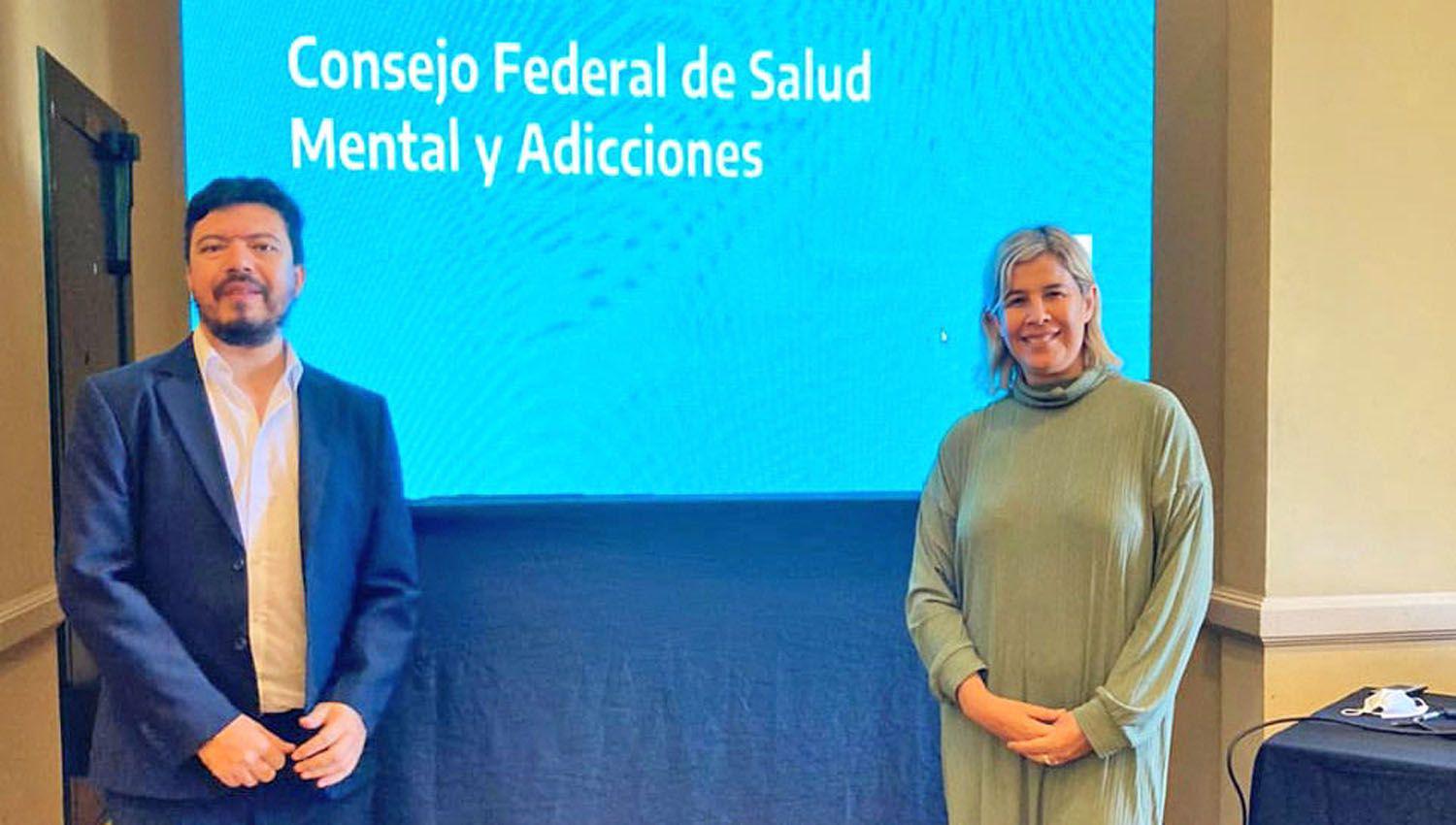 Santiago participoacute de la reunioacuten del Consejo Federal de Salud Mental