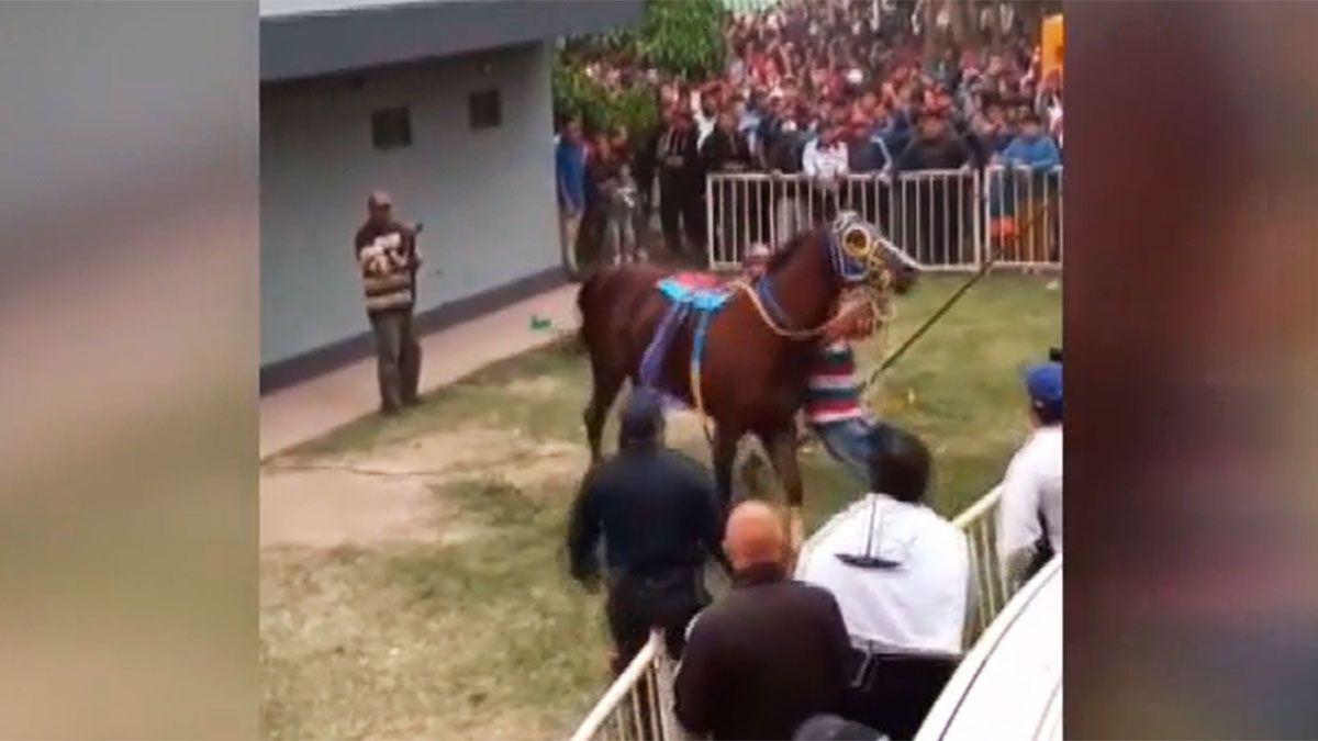 VIDEO  Un caballo fuera de control causoacute paacutenico en el Hipoacutedromo