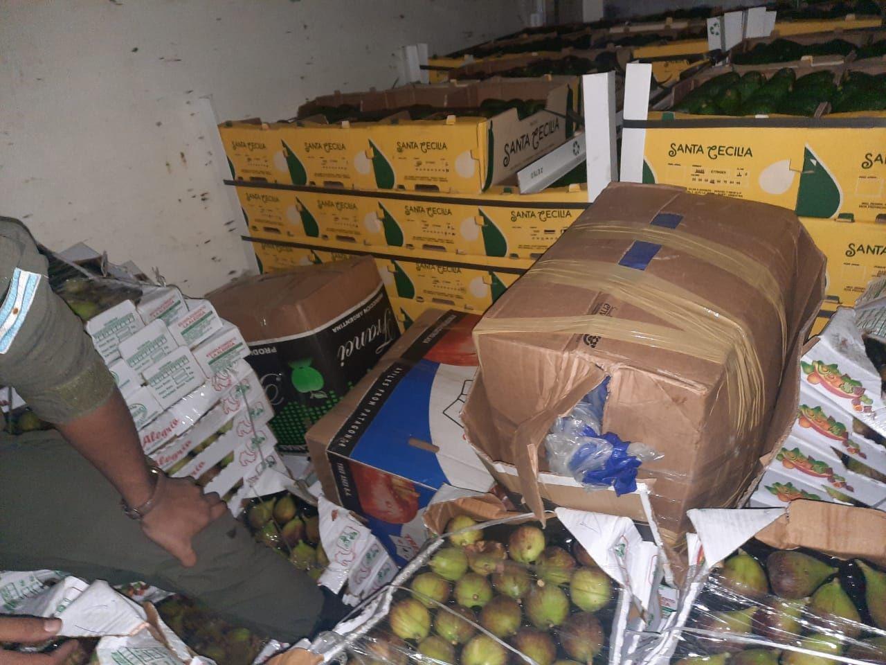 Ruta 157- secuestran 95 kilos de hojas de coca escondidas entre frutas y verduras