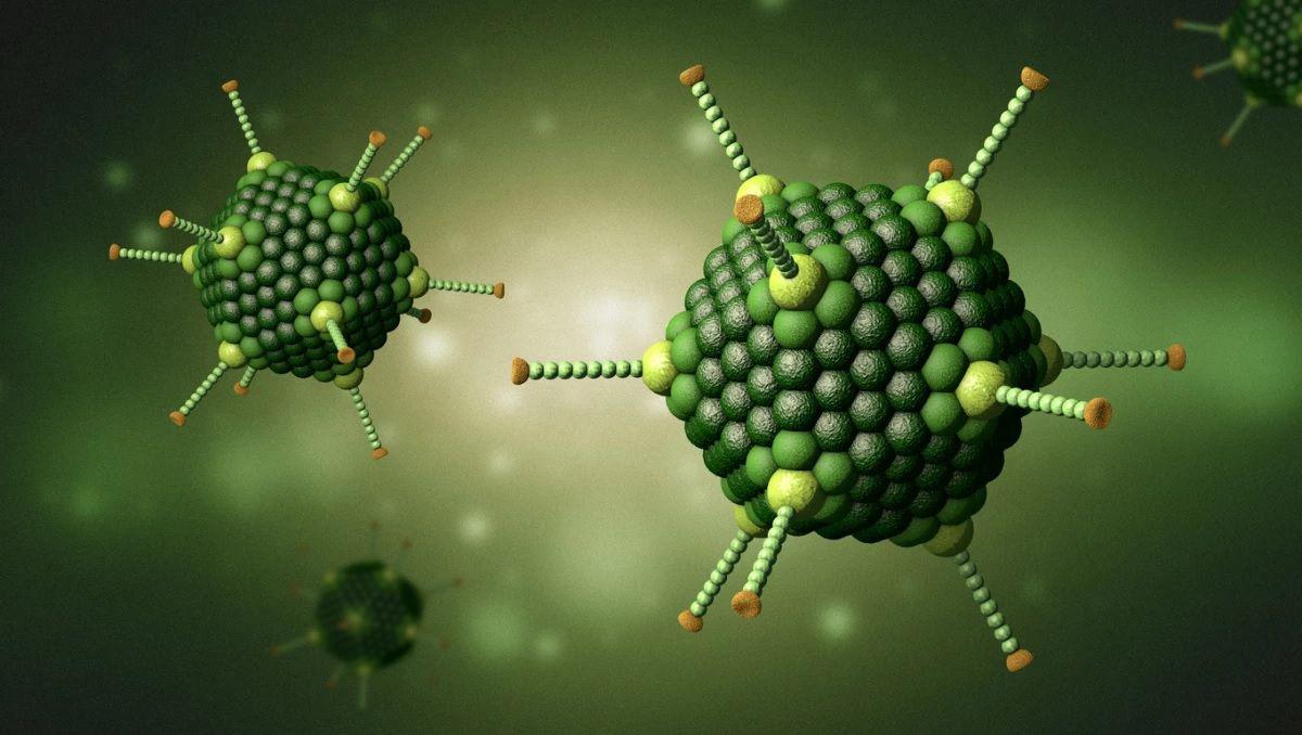 Descubren el adenovirus que causoacute los misteriosos casos de hepatitis en nintildeos