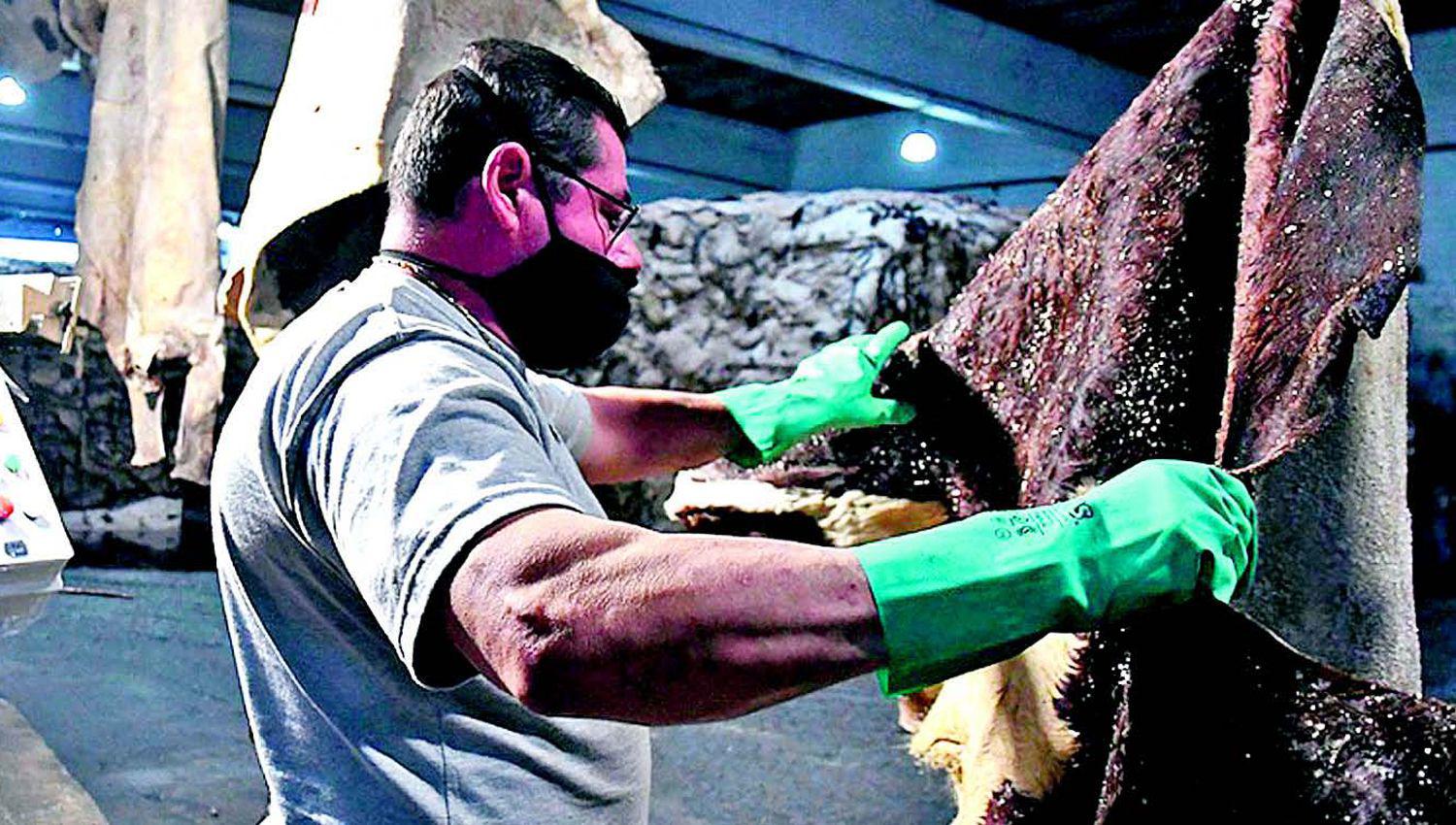 Hay actividades en que los trabajadores no registrados superan a los registrados