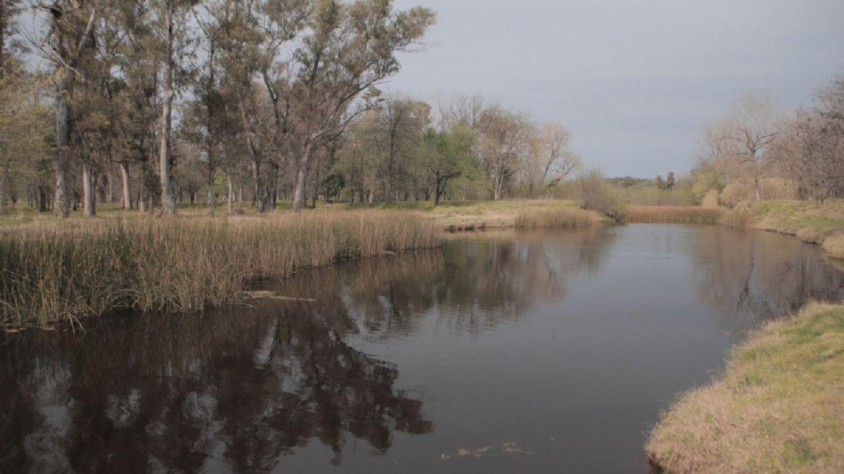 Permitir que nuestros bosques nos ayuden a superar las crisis muacuteltiples