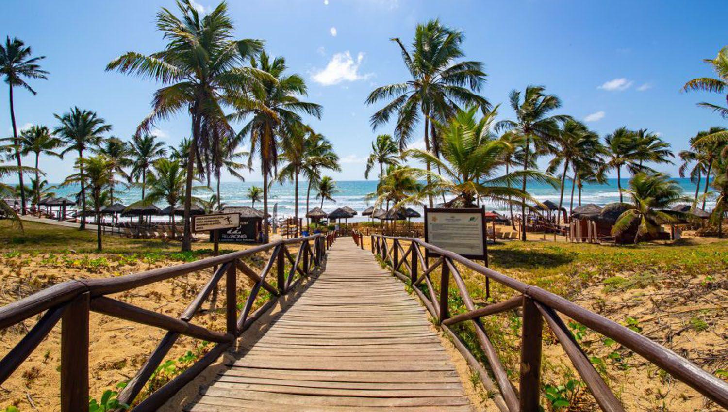 Brasil- una semana en un hotel (y paraiacuteso tropical) en Bahiacutea a soacutelo cuatro horas de Buenos Aires