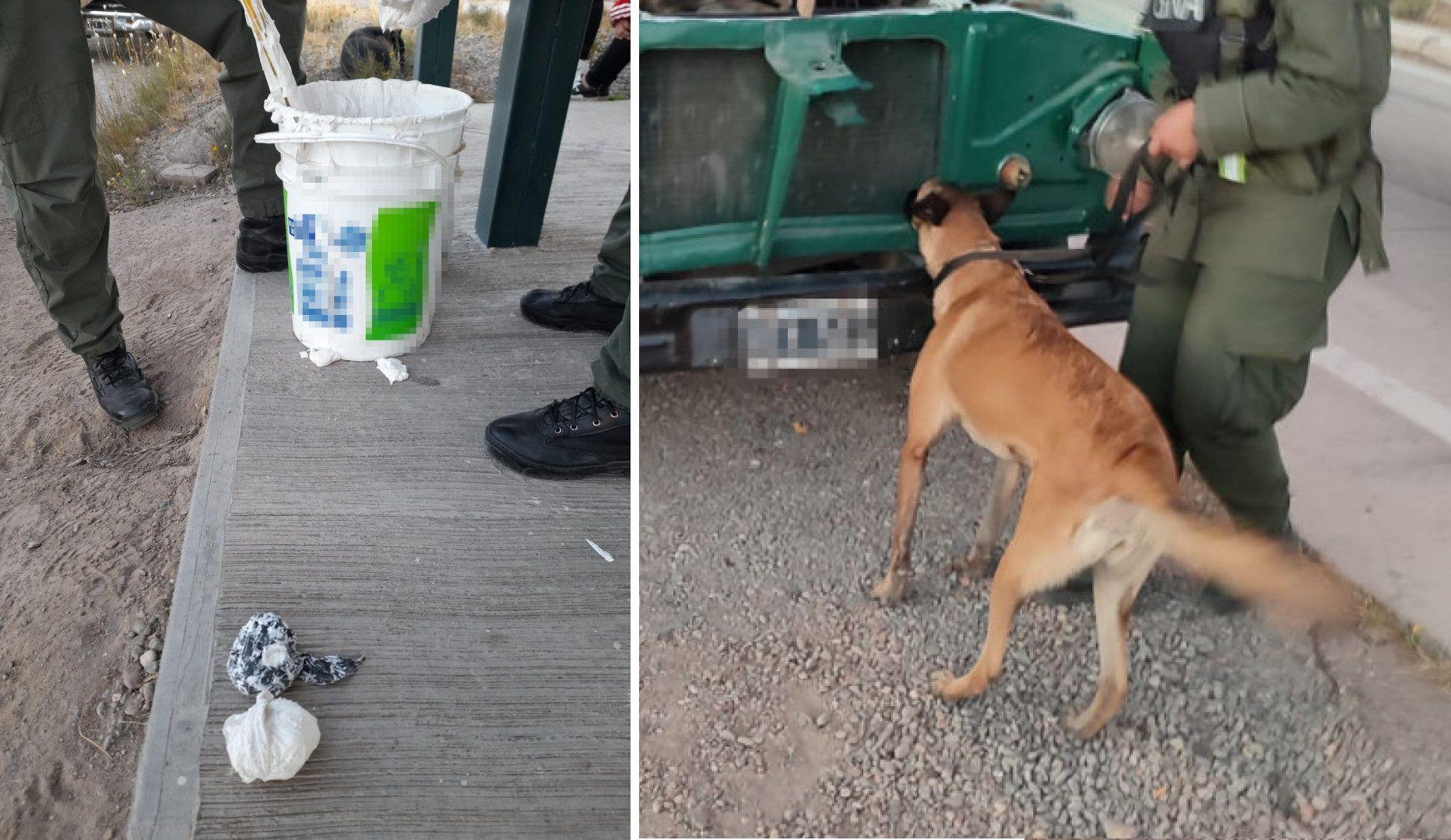 El can Pila halloacute droga dentro de un tacho de enduido- hay una pareja detenida
