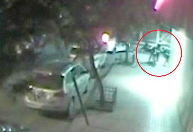 Violento ataque de motochorro a una funcionaria de la provincia