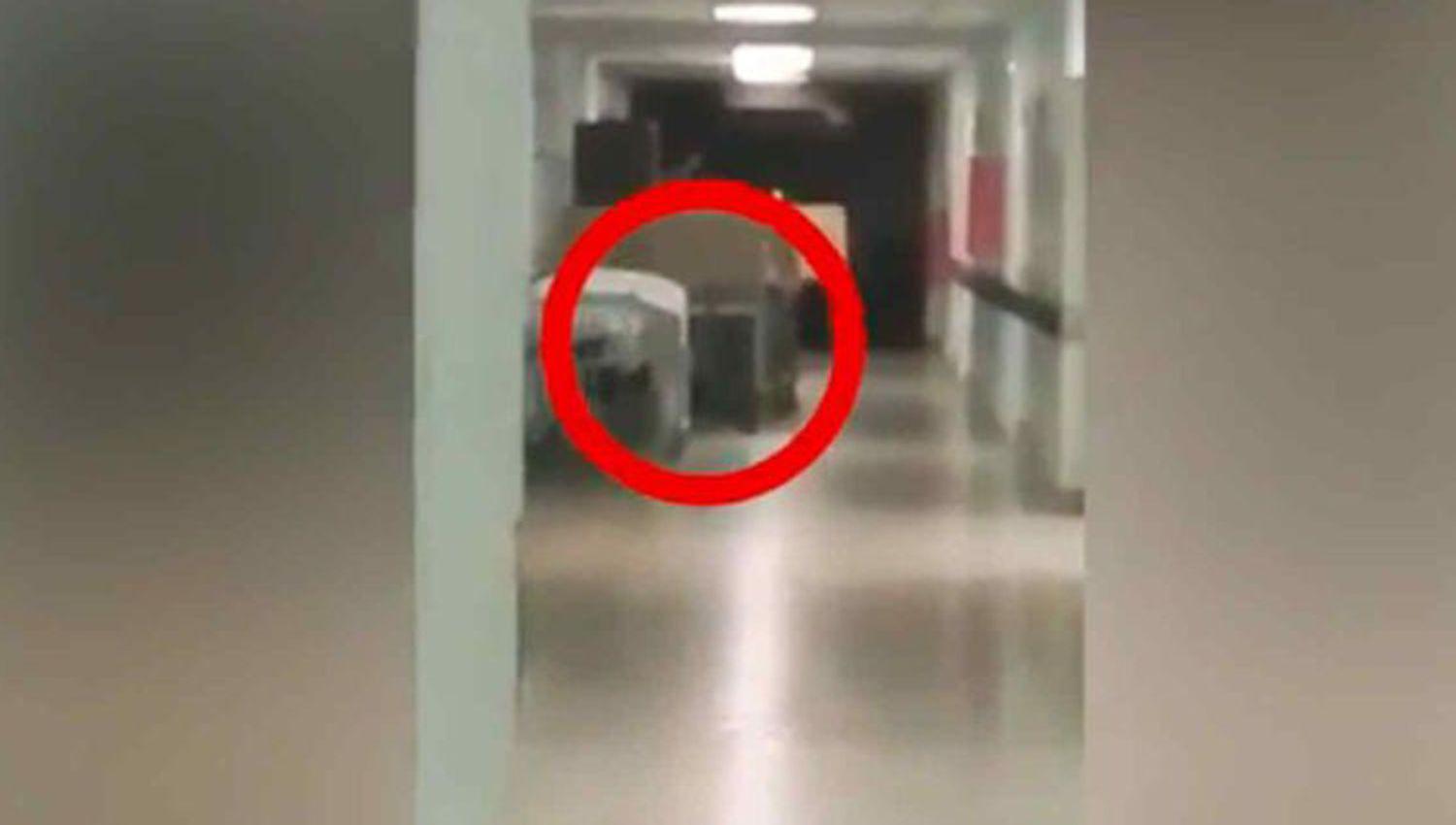 VIDEO- extrantildea aparicioacuten en un hospital generoacute paacutenico en los empleados
