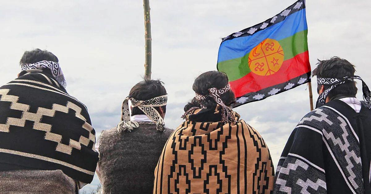 Repudio al izamiento de banderas mapuches en organismos oficiales
