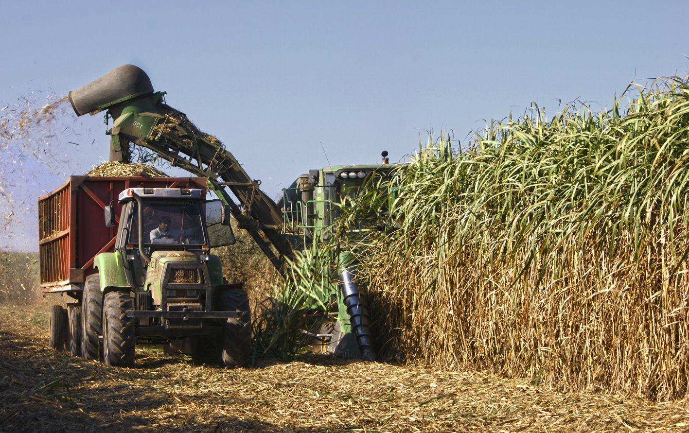 Un paro de transportistas y la falta de gasoil interrumpen la zafra azucarera en Tucumaacuten