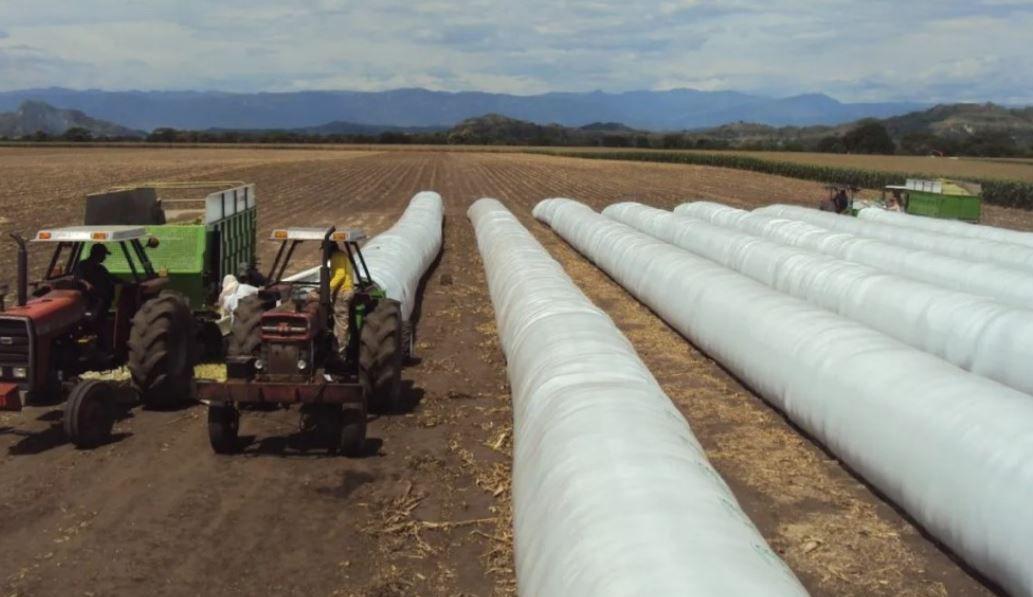 La propiedad privada estaacute en peligro