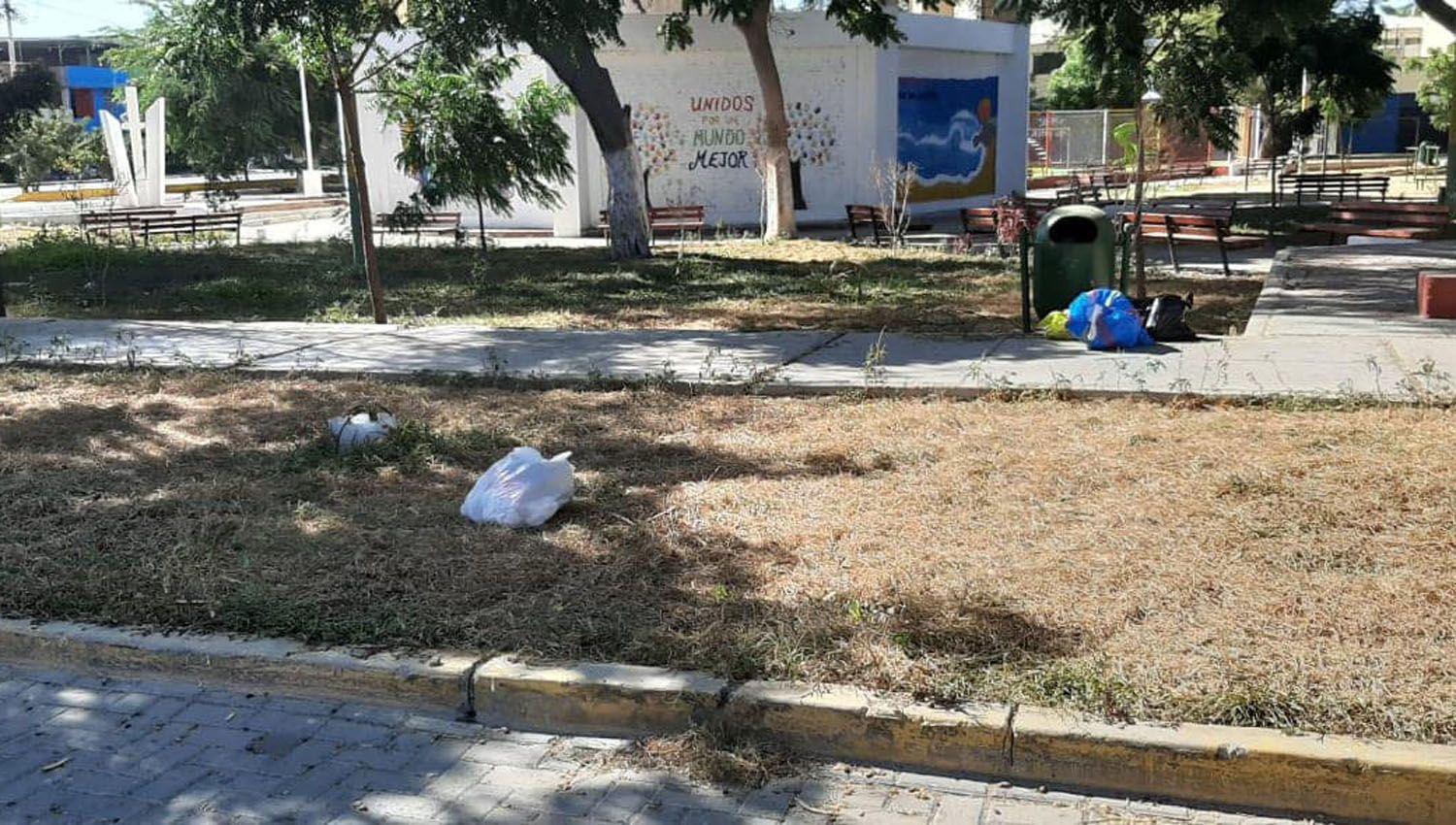 La recoleccioacuten de residuos de ayer pasoacute para hoy en la ciudad de Forres