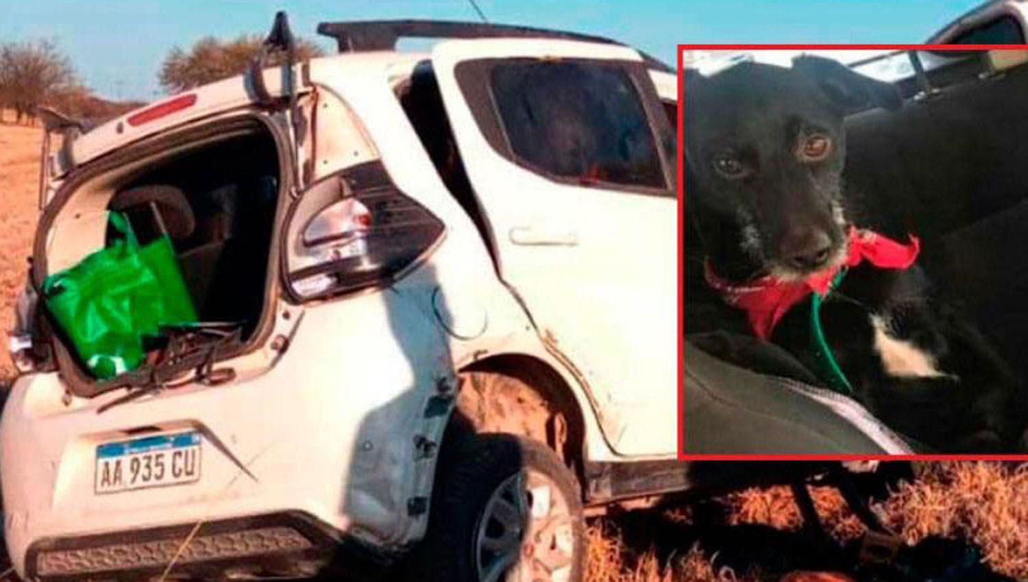 La muerte de una mujer y su mascota en la ruta 34 generoacute una ardua movida solidaria