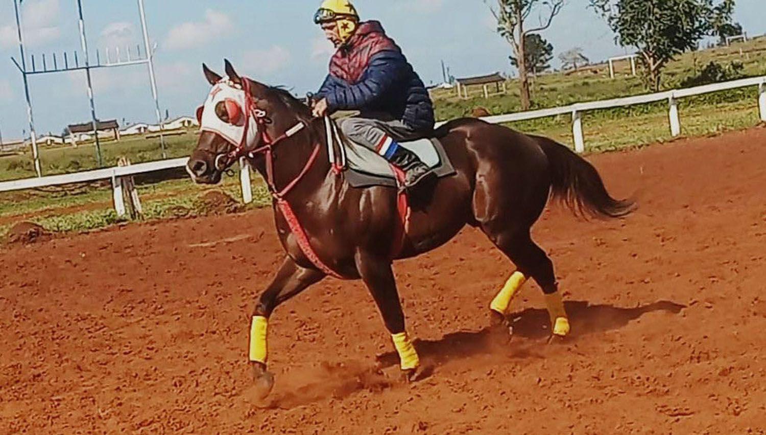 Un caballo del paraje Canal Melero correraacute la Challenger en Misiones