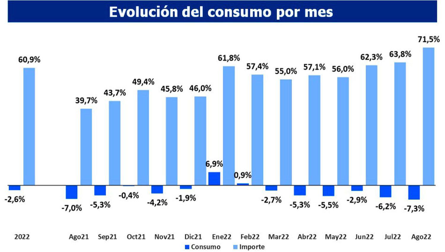 El consumo registroacute en agosto su mayor baja en lo que va del antildeo