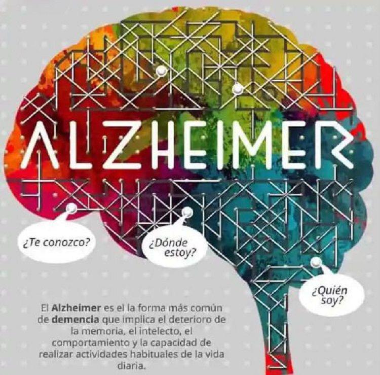 Alzheimer- los cambios en el cerebro comienzan deacutecadas antes de los siacutentomas