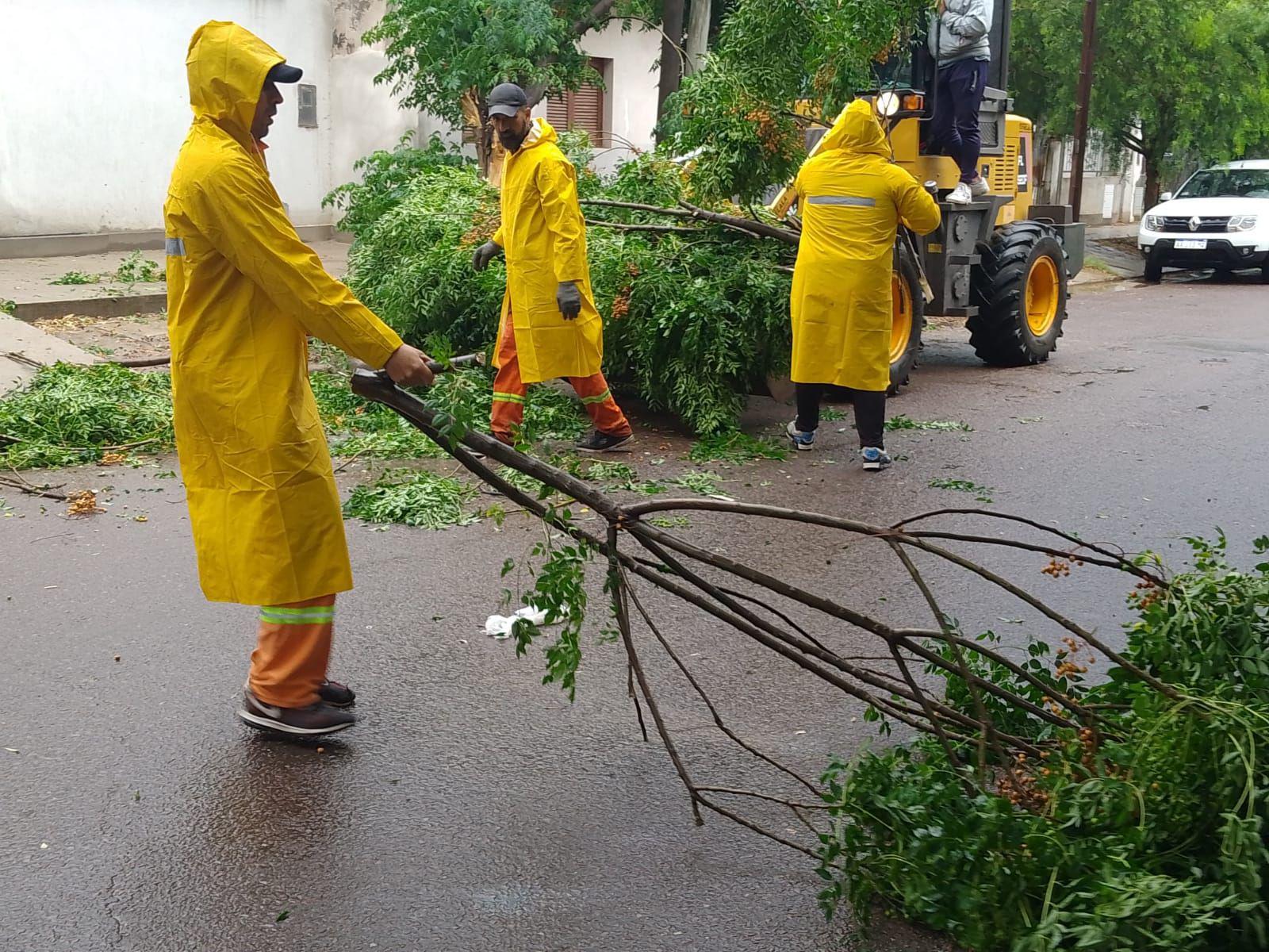 Tras las fuertes tormentas el Comiteacute de Emergencia Municipal continuoacute con su trabajo