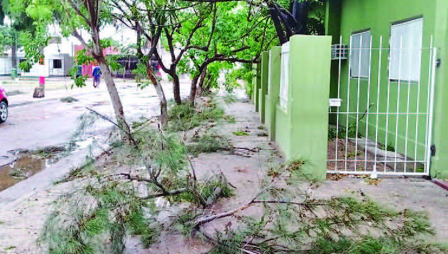 Desplegaron asistencia a vecinos afectados por torrencial lluvia