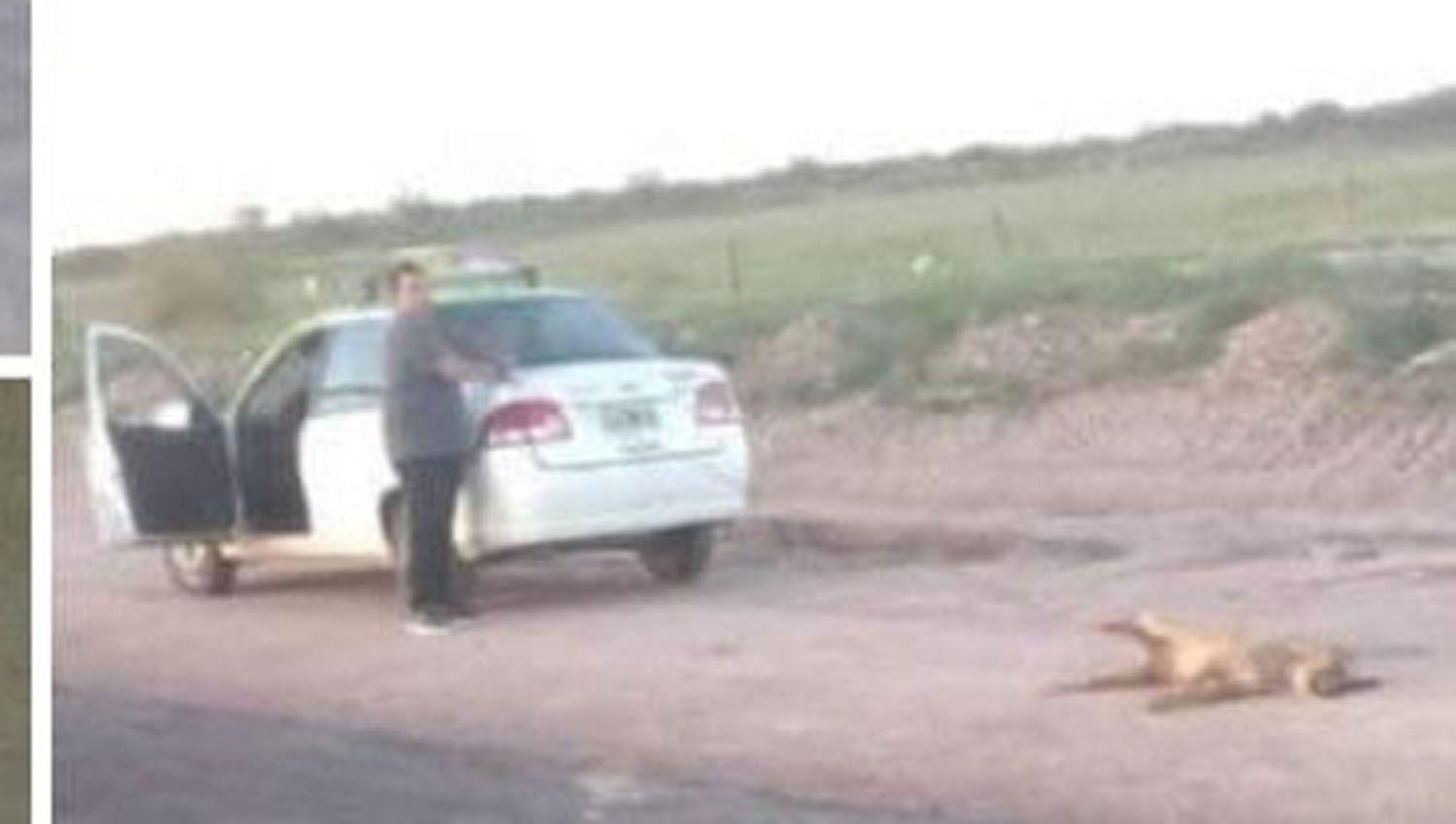 Viralizan imagen de un perro arrastrado por un auto y piden la detencioacuten de un remisero