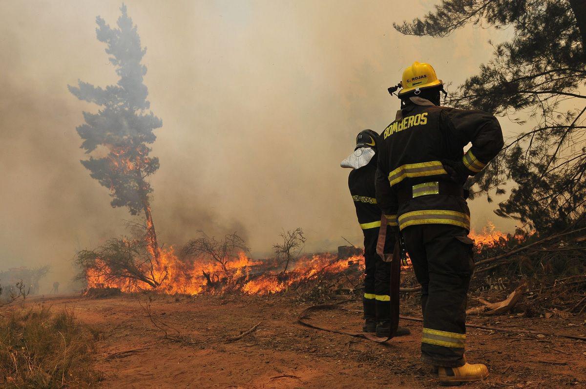 La emergencia por incendios forestales que rige en todo el paiacutes seraacute hasta 2024