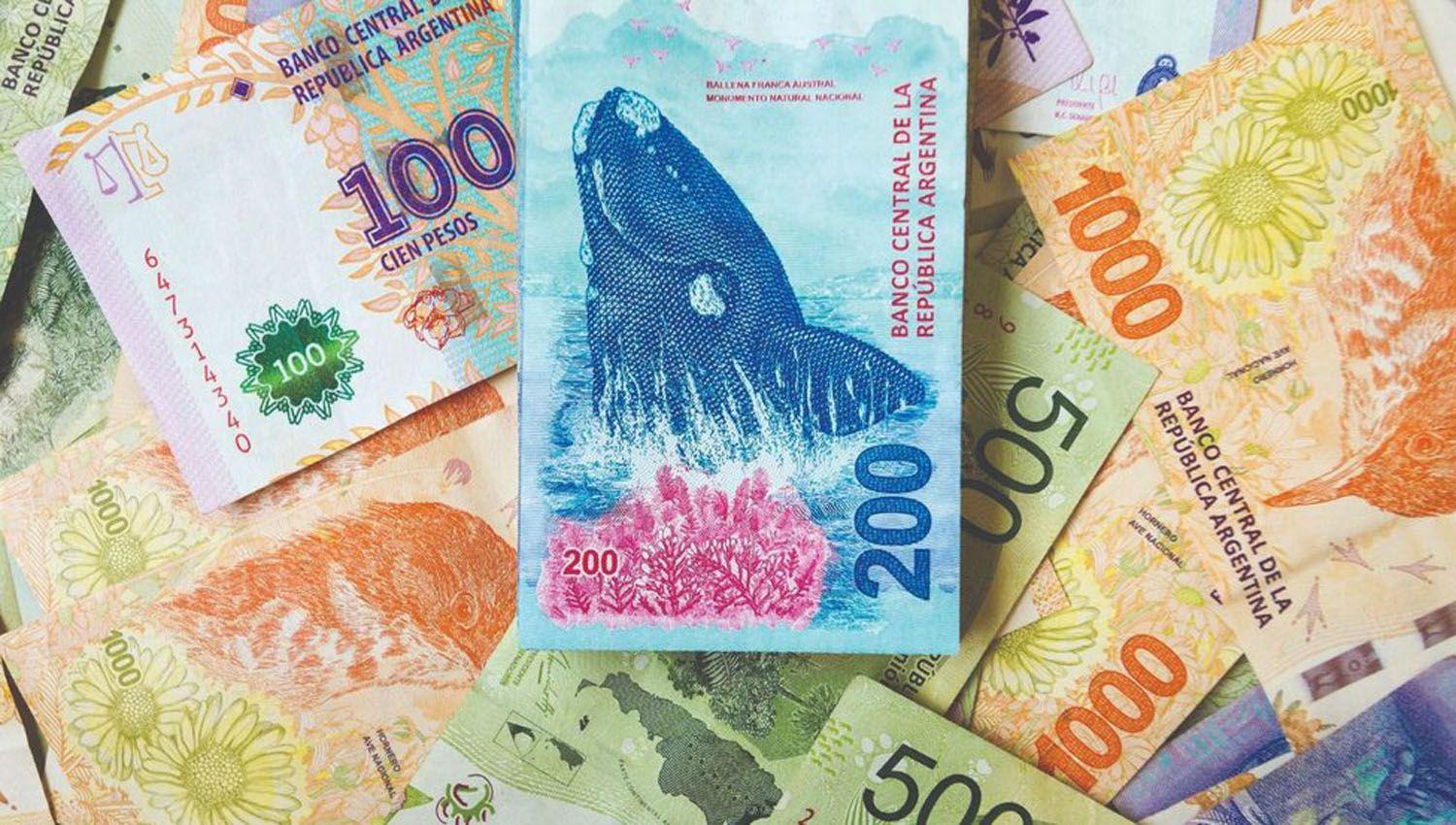 Inflacioacuten- una senadora solicitoacute que se impriman billetes de mayor denominacioacuten