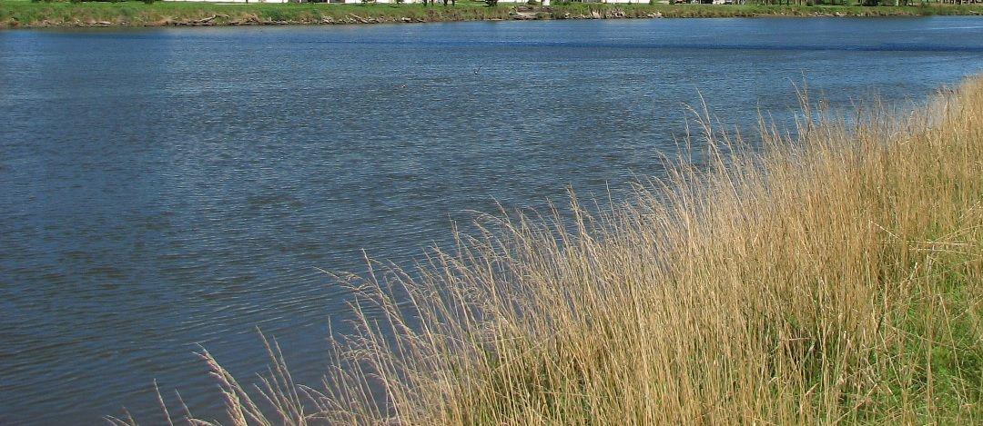 Turista colombiano murioacute ahogado en el riacuteo tras arrojarse desde el puente para bantildearse