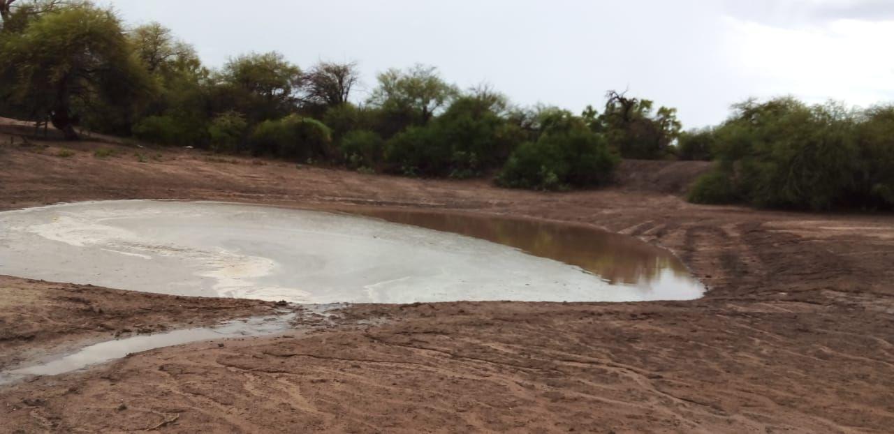 VIDEO  El interior loretano recibioacute entre 10 y 50 miliacutemetros de lluvia y atenuoacute los efectos de la sequiacutea