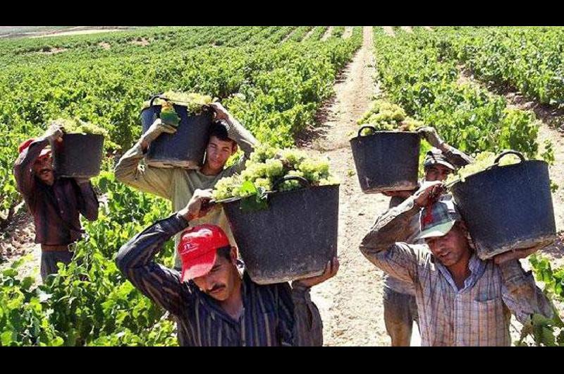 Renatre- existen 23651 trabajadores rurales en Santiago del Estero