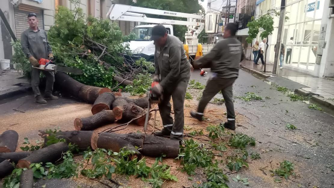 Tras la fuerte tormenta el Comiteacute de Emergencia trabaja en el relevamiento y asistencia a vecinos