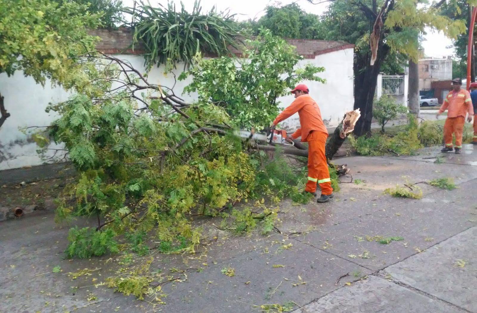 Un fuerte temporal provocoacute graves destrozos en Capital La Banda y localidades del interior