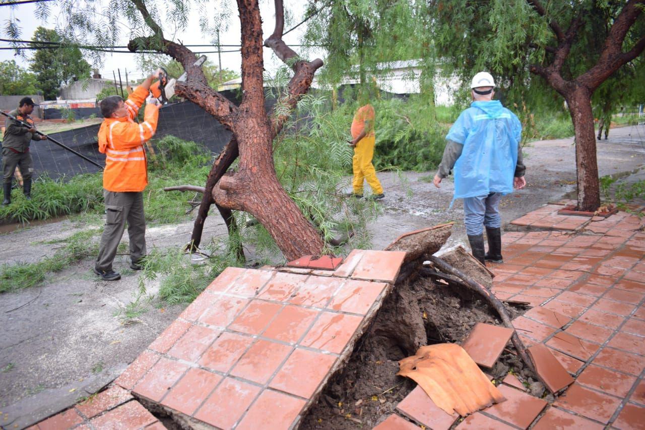 El Comiteacute de Emergencia de la Capital trabaja despejando la viacutea puacuteblica tras los fuertes vientos y la lluvia
