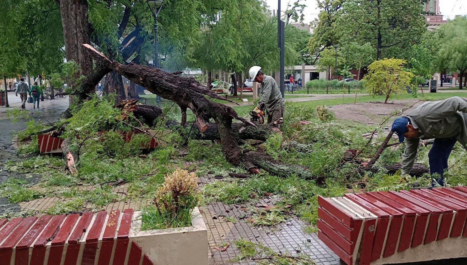 Intenso trabajo del comiteacute de emergencia luego de la fuerte tormenta de ayer