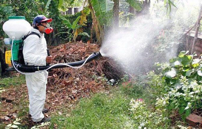 Alerta- detectaron unos 200 casos de dengue en Tucumaacuten