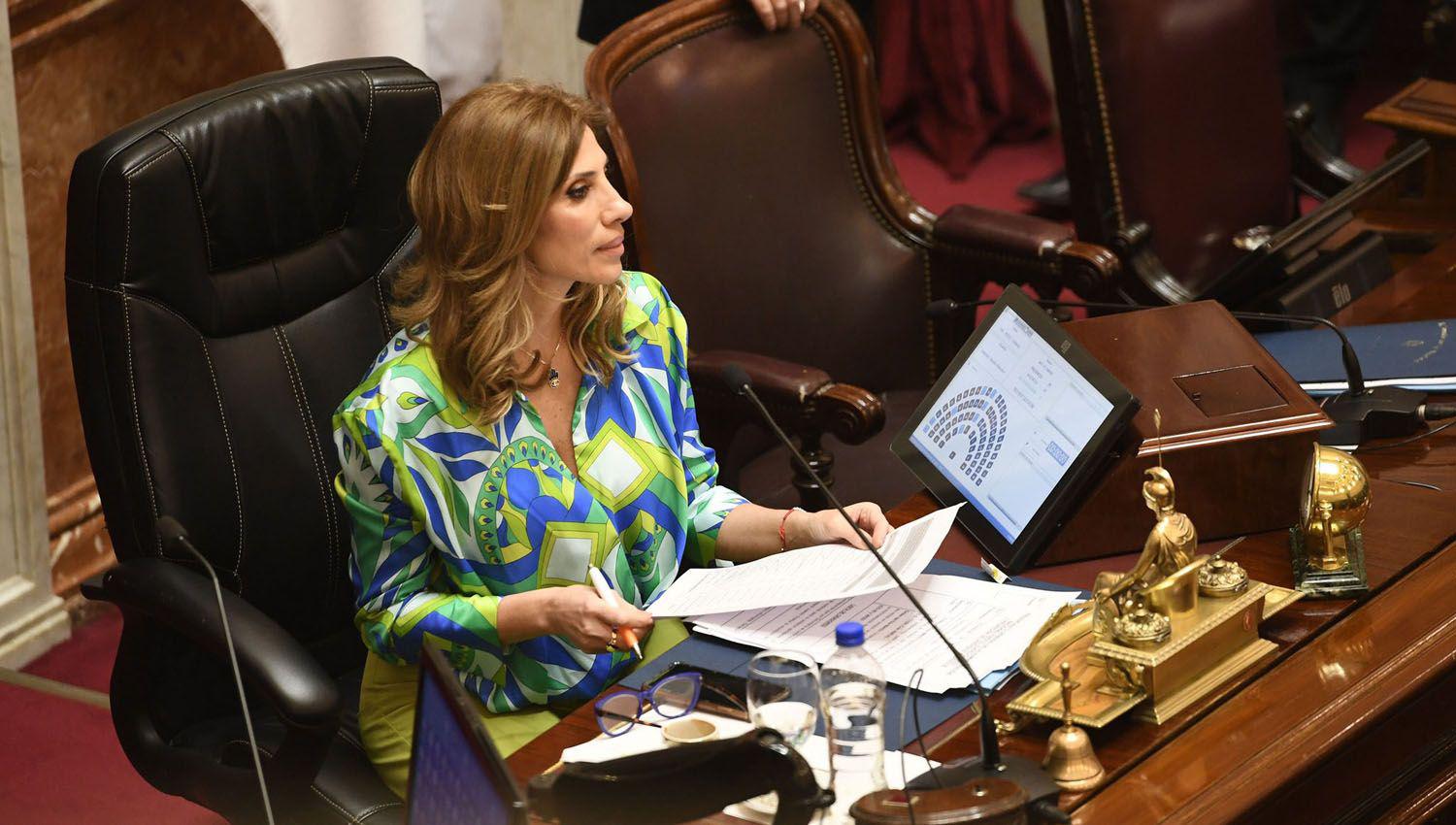 El Senado sin Cristina designa autoridades y diacuteas de sesioacuten