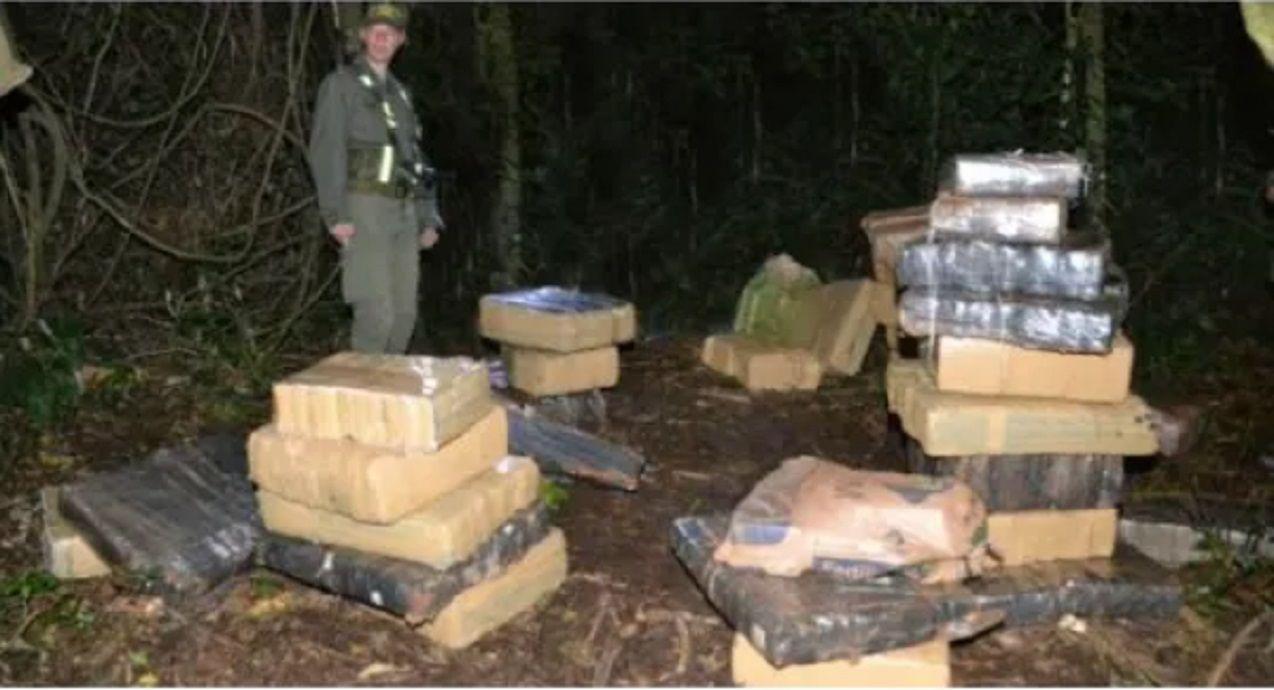 Incautan casi una tonelada de marihuana oculta en una zona de difiacutecil acceso