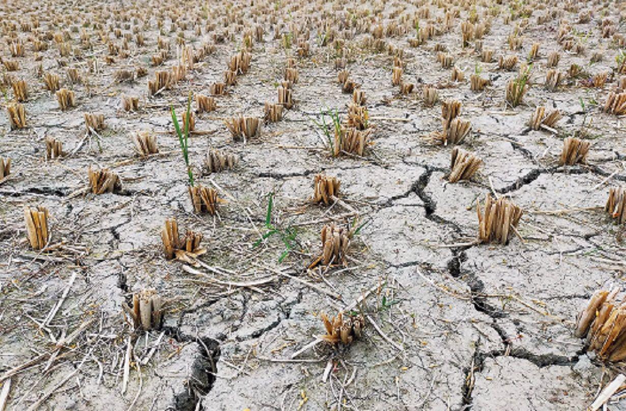 LA ECONOMIacuteA CON LA MIRADA EN OCTUBRE