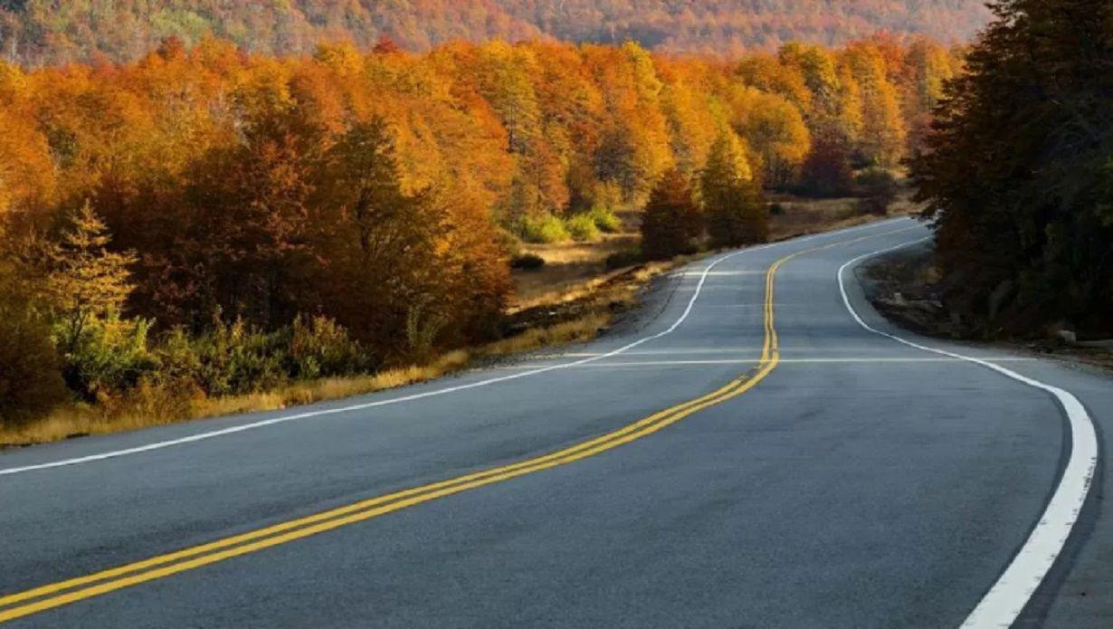 Los Siete Lagos entre bosques y montantildeas