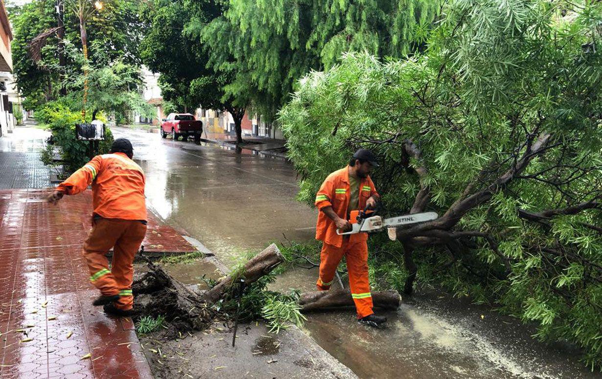 Arduo trabajo municipal ante la torrencial lluvia que azotoacute a la ciudad