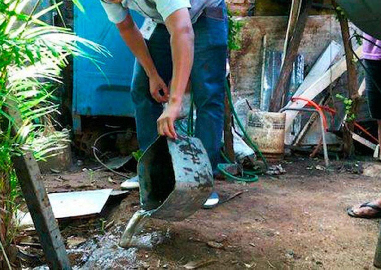 Confirman 8000 casos de dengue y maacutes de 500 de chikungunya