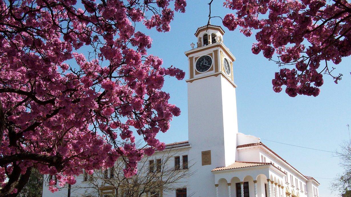 Habraacute asueto administrativo y educativo el martes 28 por la presencia de la Seleccioacuten Argentina