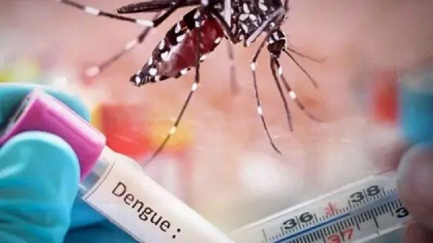 Gobierno y comunas trabajan para controlar brotes de dengue