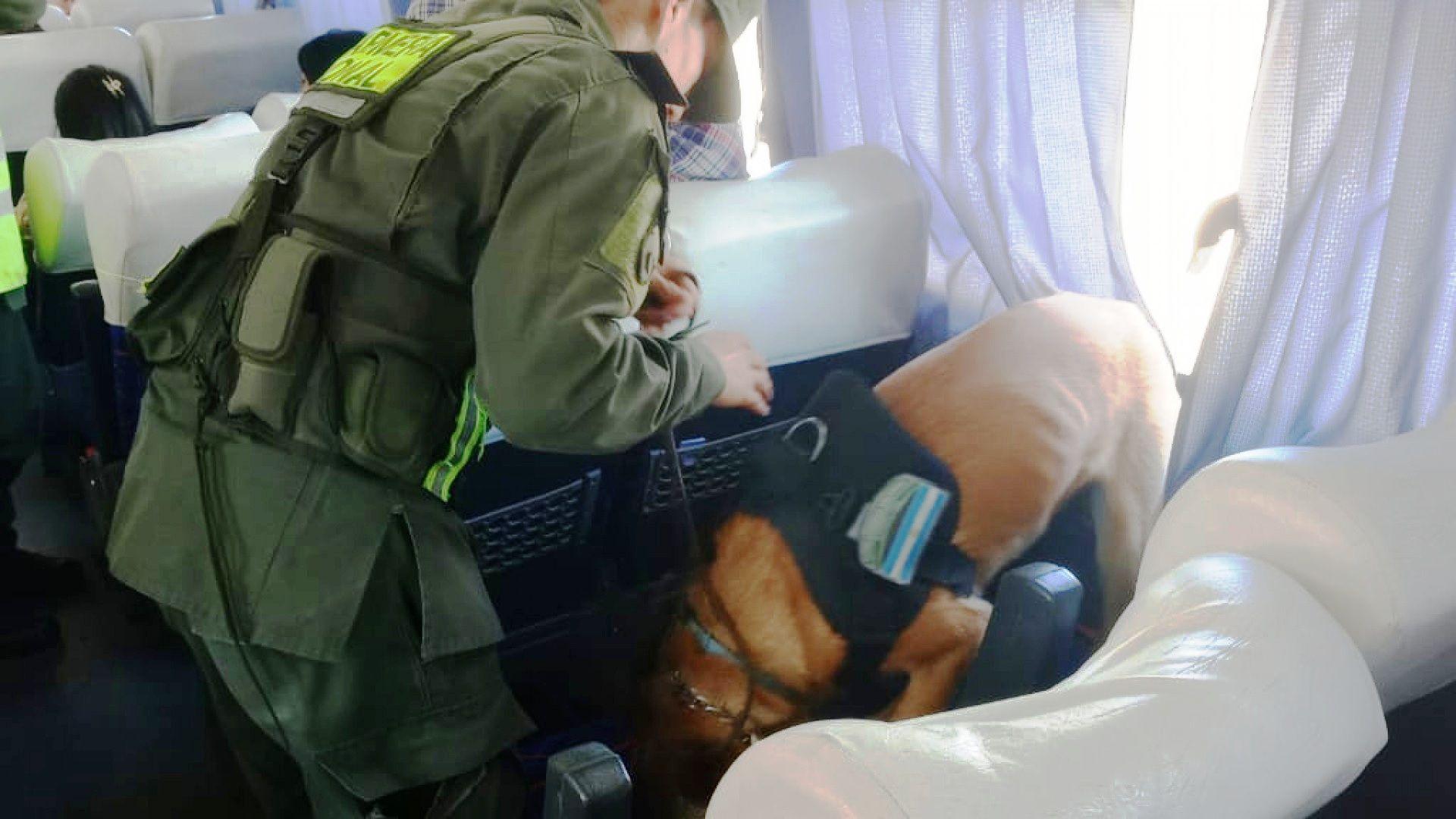 Gendarmeriacutea detiene a pasajero de oacutemnibus con ladrillos de droga en su mochila