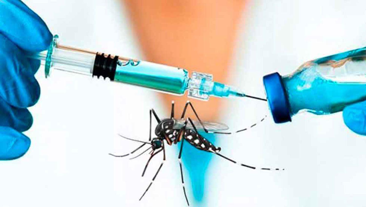 Por el aumento de casos de dengue aceleran el anaacutelisis de una vacuna japonesa