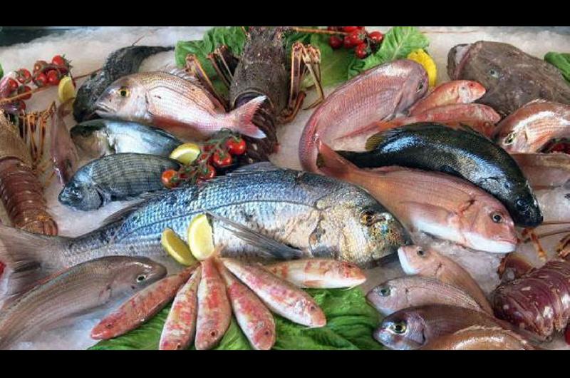 Brindan pautas sobre el consumo de pescado por la Semana Santa