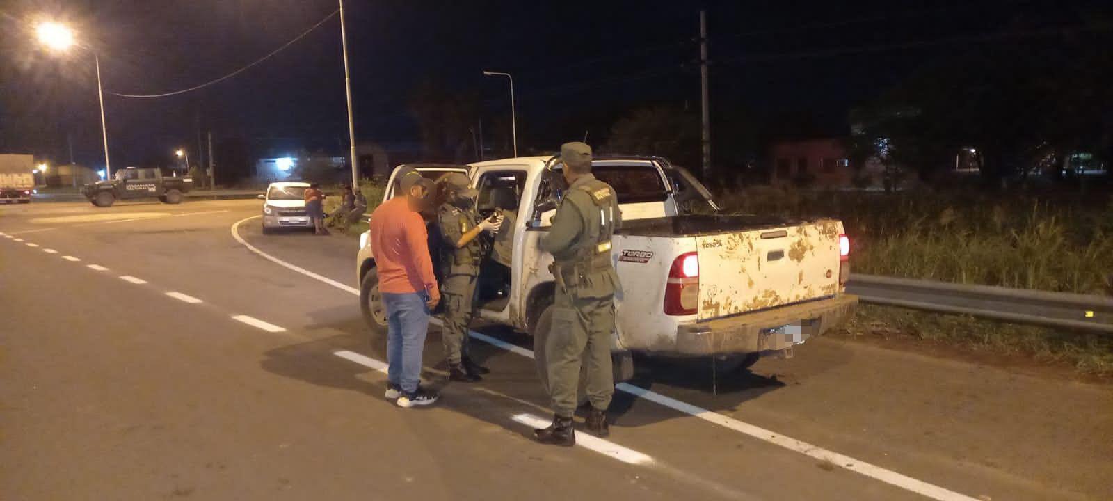 Gendarmeriacutea rescatoacute animales silvestres que eran transportados de manera clandestina