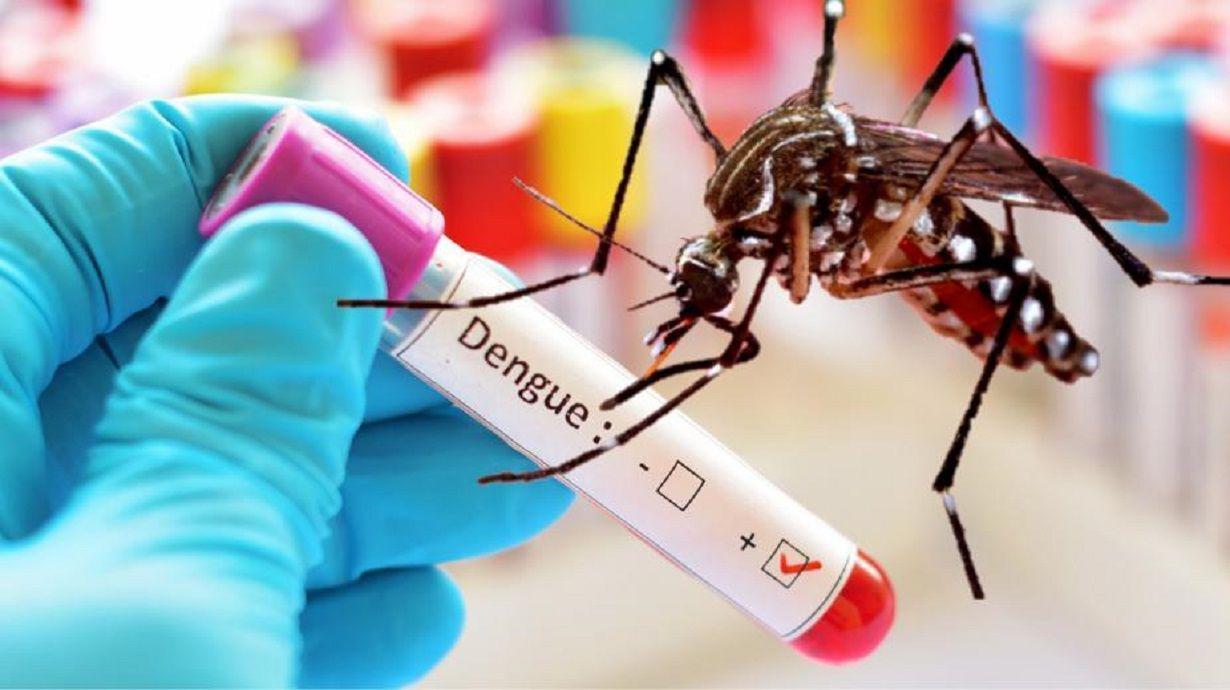 Tucumaacuten cada vez maacutes complicado- superoacute los 10000 casos de dengue y hay siete fallecidos