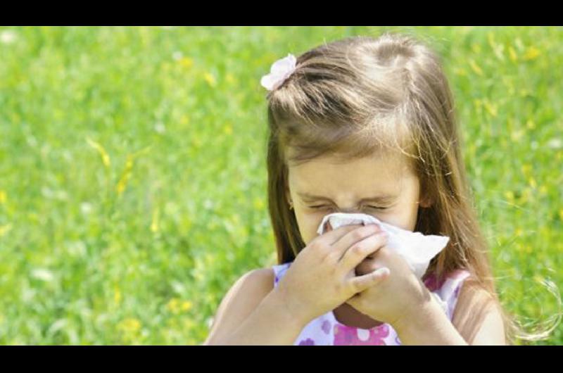 Con el otontildeo tambieacuten llegaron las molestas alergias que afectan viacuteas respiratorias y ojos
